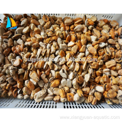 Factory Frozen cooked boiled HACCP ISO mussel meat